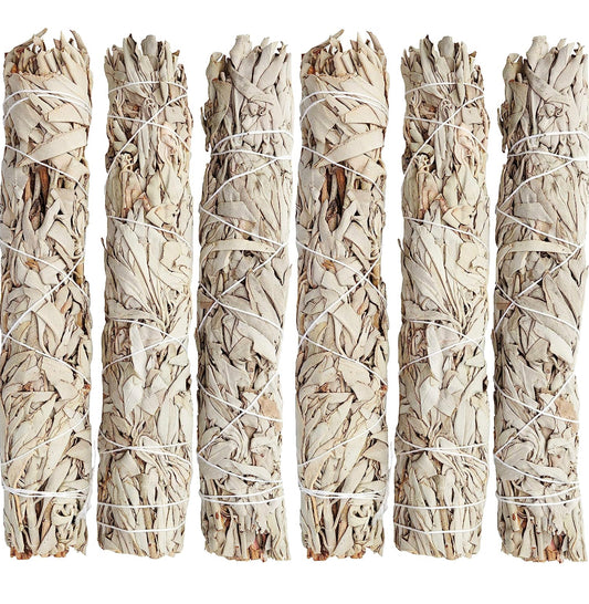 9" White Sage 9吋白鼠尾草
