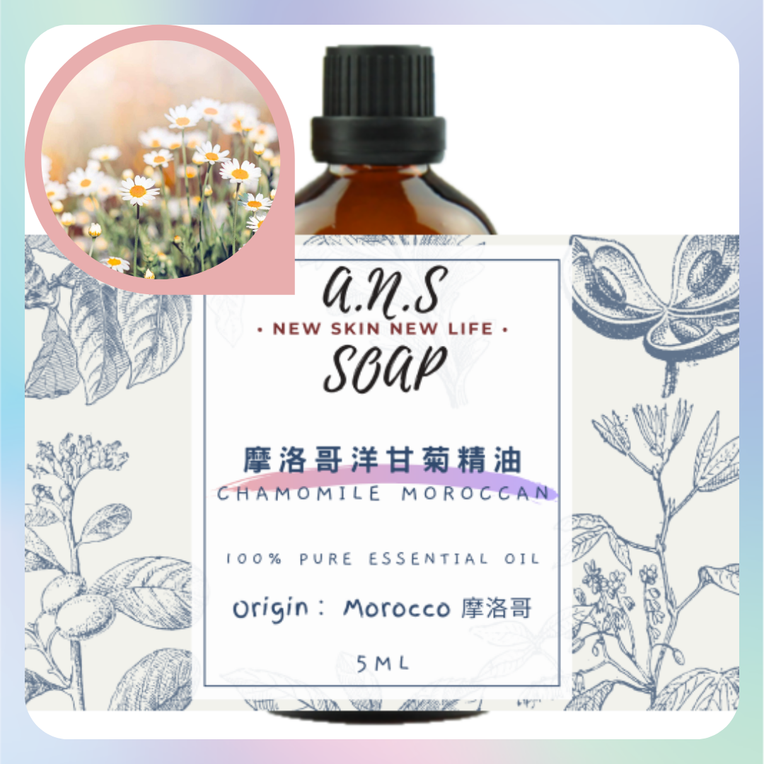 Chamomile Moroccan Essential Oil 摩洛哥洋甘菊精油