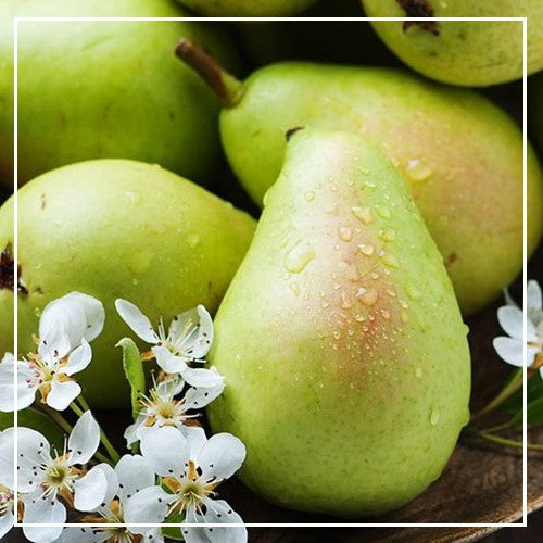 English Pear & Freesia (Passion) Fragrance