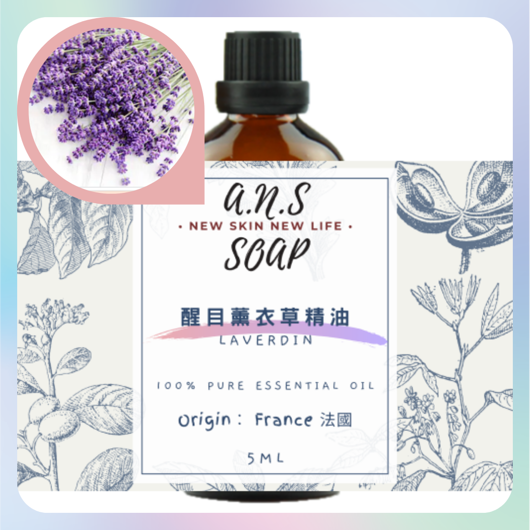 Lavendin Grosso Essential Oil 葛羅索醒目薰衣草精油