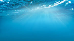 Ocean (My Bonnie) Fragrance