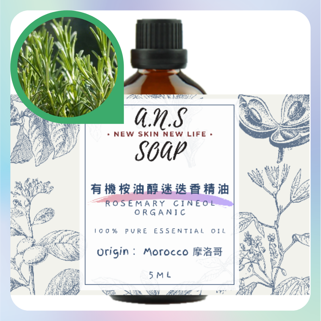 Rosemary Cineol Organic Essential Oil 有機桉油醇迷迭香精油