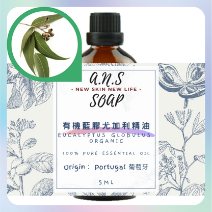 Eucalyptus Globulus Organic Essential Oil 有機藍膠尤加利精油