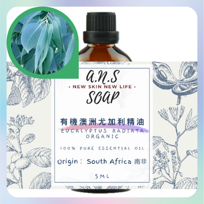 Eucalyptus Radiata Organic Essential Oil 有機澳洲尤加利精油