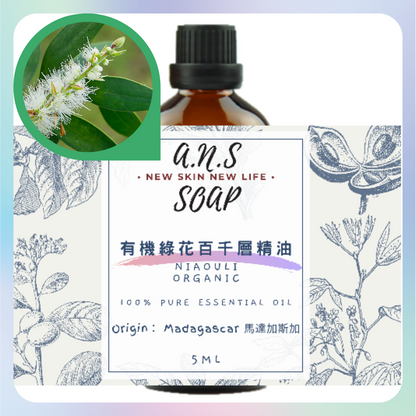 Niaouli Organic Essential Oil 有機綠花百千層精油